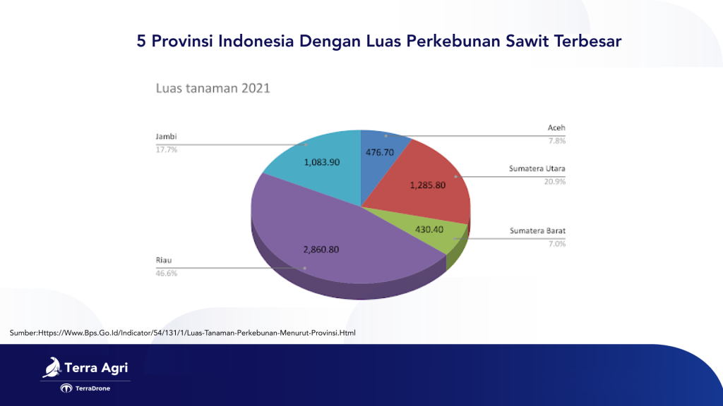 Infografik data luas perkebunan kelapa sawit di Indonesia tahun 2021